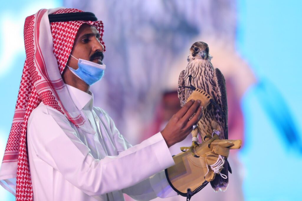 شاهد: بيع صقر في مزاد في السعودية بمبلغ 650 ألف ريال