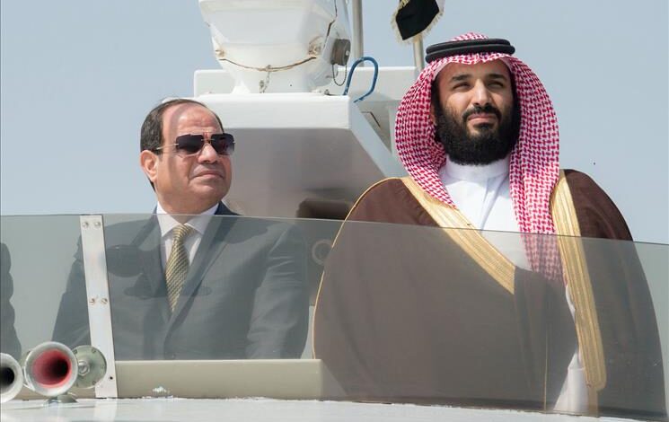 التباين السعودي المصري