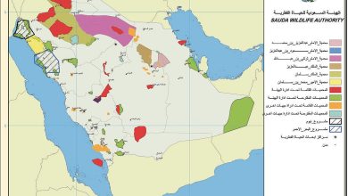 كشف مخطط خطير للاستيلاء على قرابة سدس أراضي السعودية