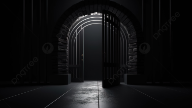 الأمم المتحدة تدين انتهاكات السعودية: اعتقالات تعسفية وأحكام إعدام تخالف القانون الدولي